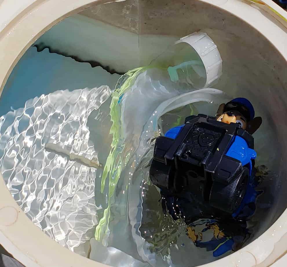 How Often Should You Clean Your Pools Skimmer Basket? Easy Clear Pool